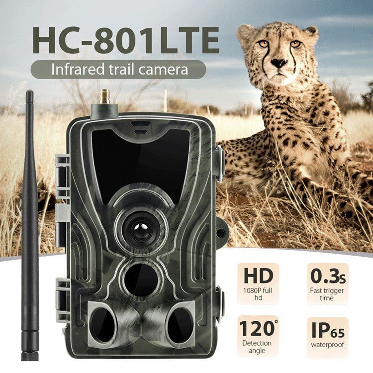 Hunting Trail Camera